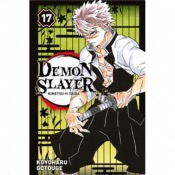 Demon Slayer Tome 17