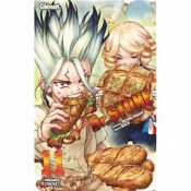 Dr Stone tome 11