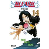 Bleach T14