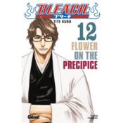 Bleach T12