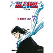 Bleach T07