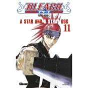 Bleach T11